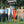DEATH IN PARADISE SEASON 6 (3DVD)