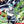 EUREKA SEVEN AO COLLECTION 1