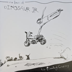 DINOSAUR JR | BEST OF - EAR BLEEDING COUNTRY (2LP SET) (VINYL)