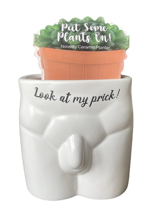LOOK AT MY PRICK SUCCULENT POT PLANTER MENS BOTTOM