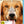 DOGS PURPOSE (BLURAY)