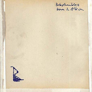 BABYSHAMBLES | DOWN IN ALBION (2LP SET) (VINYL)