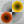 SEARCHLIGHT | SEARCHLIGHT