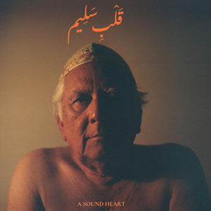 JAUBI | A SOUND HEART 2LP