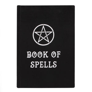 JOURNAL | BOOK OF SPELLS VELVET NOTEBOOK