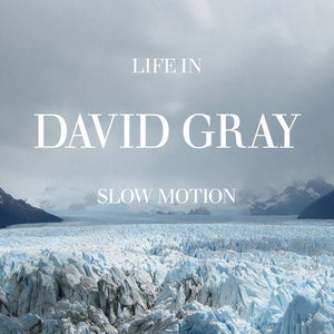 DAVID GRAY | LIFE IN SLOW MOTION