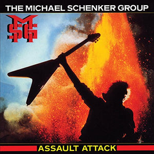 SCHENKER MICHAEL GROUP | ASSAULT ATTACK