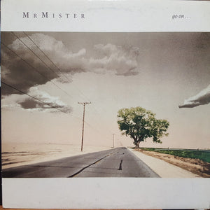 MR MISTER | GO ON