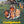 CADDYSHACK RETRO POSTER MAXI 323