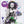 MARC BOLAN / VARIOUS | MARC BOLAN THE CELEBRATION CONCERT