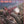 WALSH JOE | BEST OF JOE WALSH - NZ