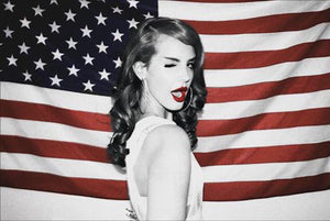 LANA DEL REY USA FLAG POSTER 673