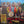 BEATLES | SGT PEPPERS - 2017 REISSUE - SEAM SPLIT