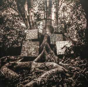 KAMASI WASHINGTON | HARMONY OF DIFFERENCE