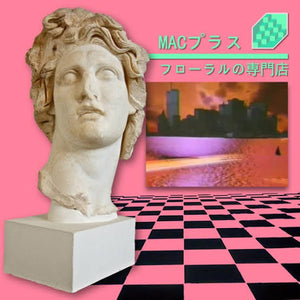 MACINTOSH PLUS | FLORAL SHOPPE (UNOFFICIAL PINK EDITION) (VINYL)