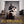 DOCUMENTARY | GURRUMUL