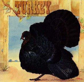 WILD TURKEY | TURKEY