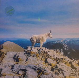 LIIMA | LIIMA 2 - GREEN WAX