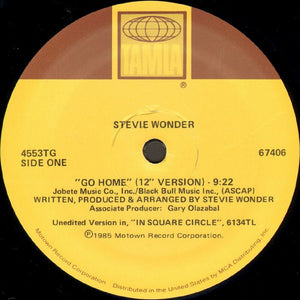 STEVIE WONDER | GO HOME 12