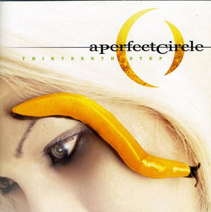 PERFECT CIRCLE | THIRTEENTH STEP