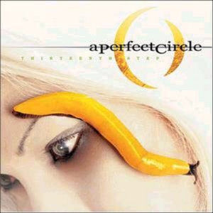 PERFECT CIRCLE | THIRTEENTH STEP (2LP SET) (VINYL)