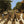 BEATLES | ABBEY ROAD (REMASTERED)