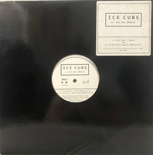 ICE CUBE | LIL ASS GEE/DVOIDOFPOPNIGGAFIEDMEGAMIX PROMO 12