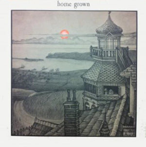 VARIOUS | HOME GROWN (1973) KGB