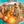 MOVIE DR | BEECHAM HOUSE