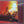 ERIC CLAPTON | BACKLESS - US