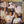 HAIRCUT ONE HUNDRED | PELICAN WEST - US