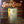 VARIOUS | 20 SOLID GOLD HITS VOL 26