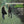 SIMON AND GARFUNKEL | SOUNDS OF SILENCE - US STEREO