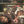 NEIL YOUNG | AMERICAN STARS N BARS - US