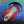 JOURNEY | ESCAPE - US