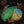 TEN YEARS AFTER | ROCK AND ROLL MUSIC TO THE WORLD - US - STICKER MARK ON COVER