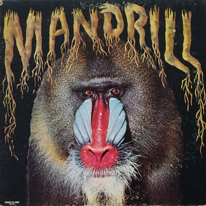 MANDRILL | MANDRILL - US