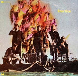 FEVER TREE | FEVER TREE - US