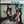 STRAY CATS | STRAY CATS - NZ