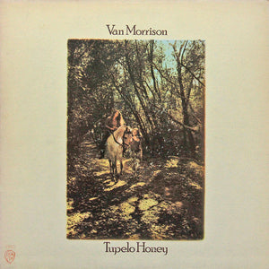 VAN MORRISON | TUPELO HONEY - US - GREEN WB LABEL