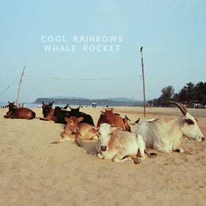 COOL RAINBOWS | WHALE ROCKET - BLUE