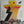 VARIOUS | 20 SOLID GOLD HITS VOL 7