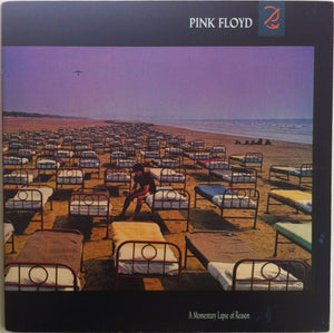 PINK FLOYD | MOMENTARY LAPSE OF REASON - NZ / AUS