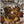 SMALL FACES | BIGGEST SMALL FACES
