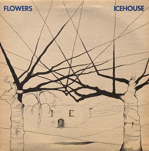 ICEHOUSE / FLOWERS | ICEHOUSE - AKA FLOWERS - NZ / AU