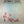 STEELY DAN | COUNTDOWN TO ECSTASY - US