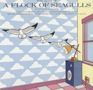 FLOCK OF SEAGULLS | BEST OF FLOCK OF SEAGULLS