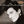 K D LANG | SHADOWLAND