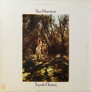 VAN MORRISON | TUPELO HONEY - US - 1983 ISSUE