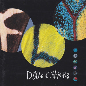 DIXIE CHICKS | FLY